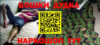 ГАЛЛЮЦИНОГЕННЫЕ ГРИБЫ Лесосибирск