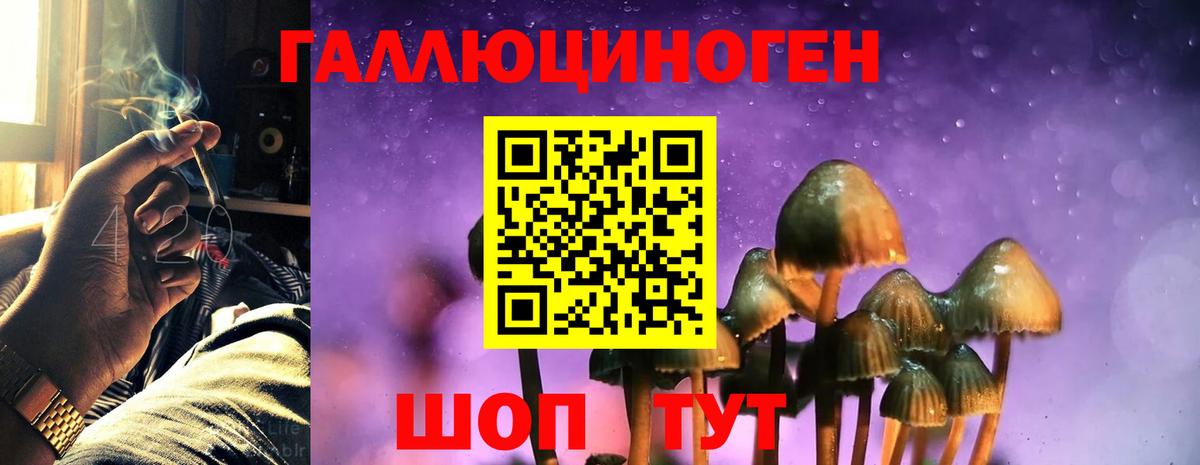 как найти закладки  Вход с VPN  Калининград  Псилоцибиновые грибы MAGIC MUSHROOMS 